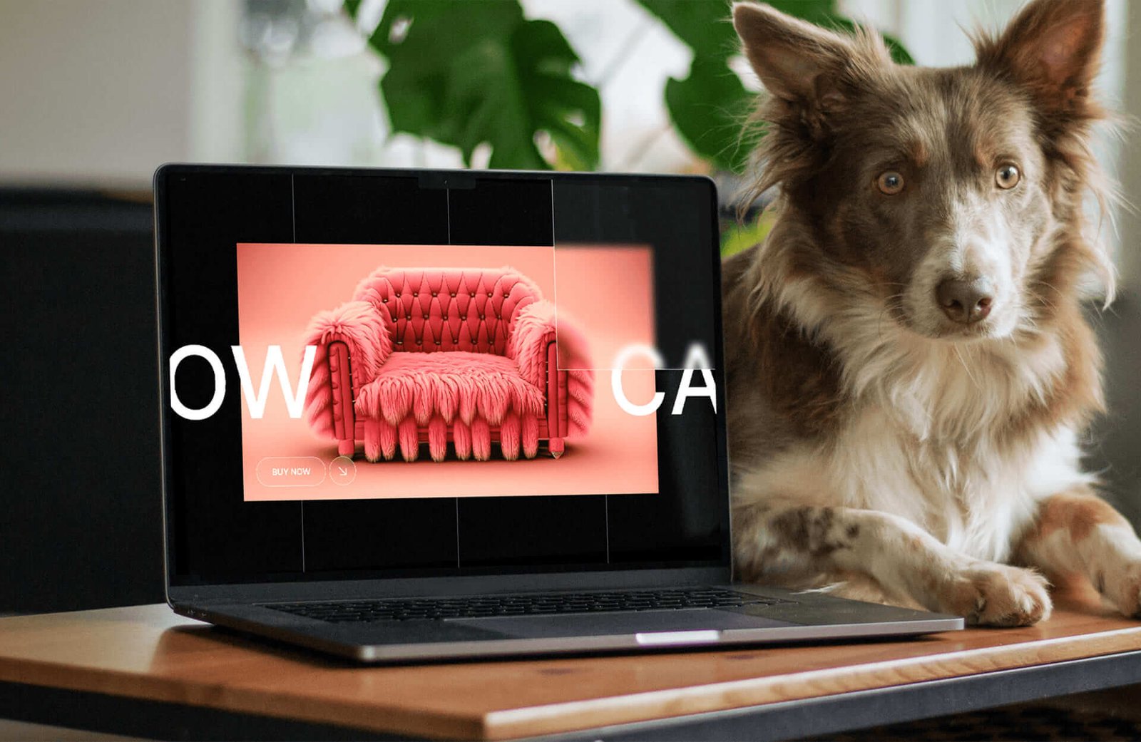 Business Website Design project thumbnail